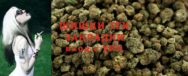 молекула духа Новодвинск