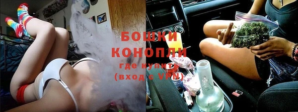 молекула духа Новодвинск
