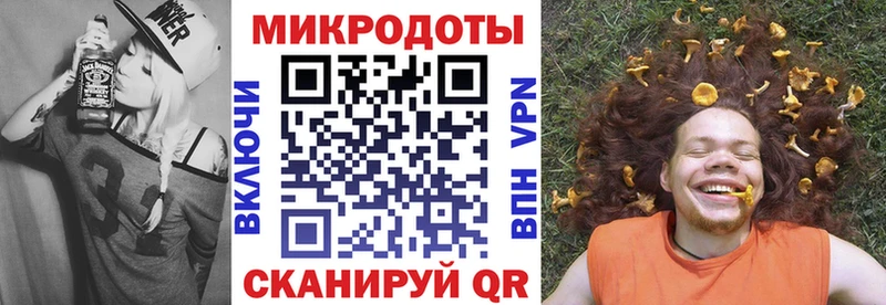 Купить закладки  Новосибирск  Псилоцибиновые грибы Psilocybine cubensis 