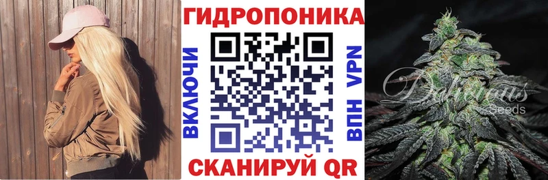 Купить где Новосибирск Марихуана LSD WEED